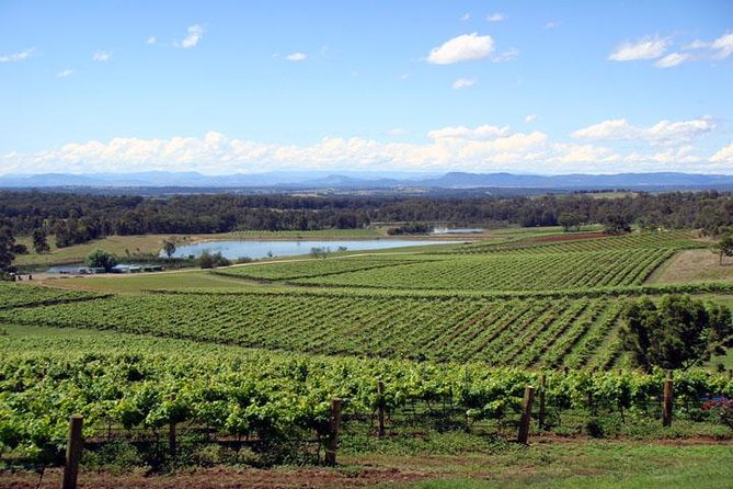 Private Hunter Valley Wine-Tasting Day Tour from Sydney - Key things that make this tour work