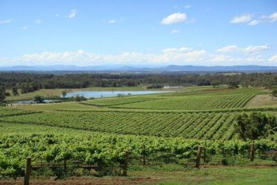 Private Hunter Valley Wine-Tasting Day Tour from Sydney - How the guide keeps the day flowing (and lets you steer a bit)