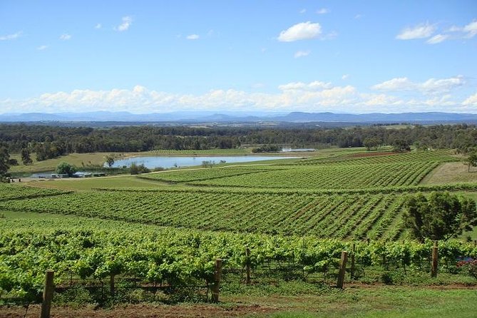 Private Hunter Valley Wine-Tasting Day Tour from Sydney - How the guide keeps the day flowing (and lets you steer a bit)