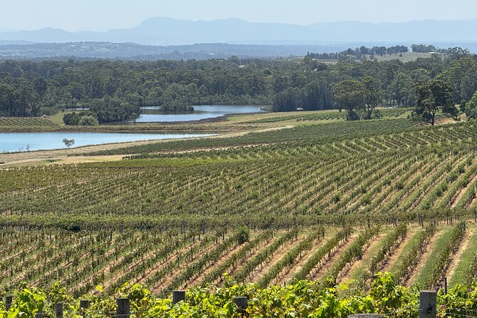 Private Hunter Valley Wine Tasting Tour from Sydney - Lunch Choice: Why “Not Included” Can Be a Good Thing