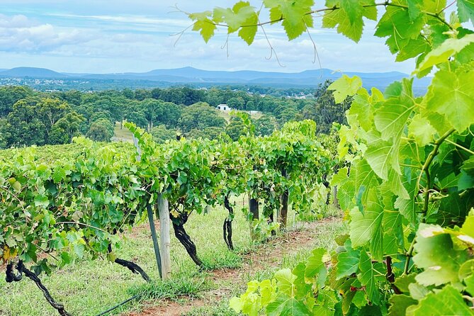 Private Hunter Valley Wine Tasting Tour from Sydney - The Morning Run Out of Sydney: Long Day, Better With a Plan