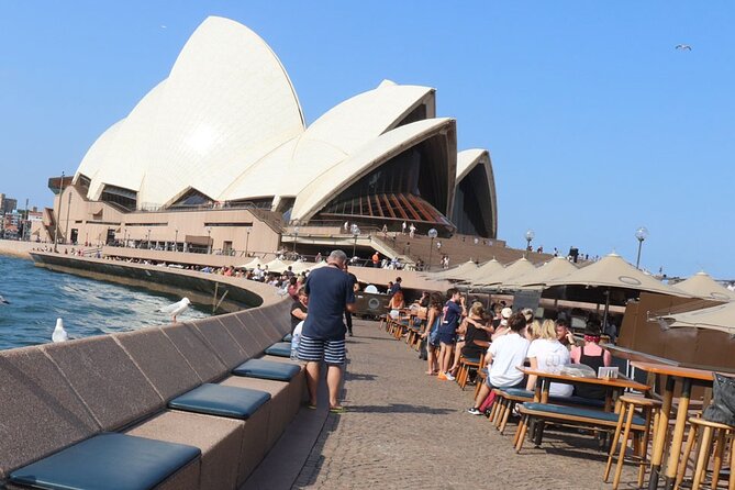 Private Luxury Half Day Sydney City Tour - A half-day that hits the big icons (without needing a full day)