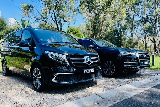 Private Luxury Half Day Sydney City Tour - Chinatown to Darling Harbour: easy urban flavor and quick orientation