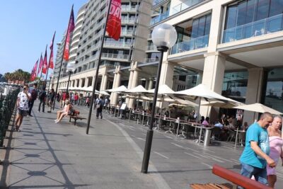 Private Luxury Half Day Sydney City Tour - Your private luxury ride: comfortable, but check the fit