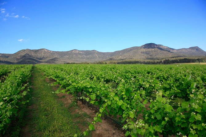 Private Luxury Tour: Tastes of the Hunter Valley - Your guide drives the quality: Helder, Nigel, Karyn, and Steve