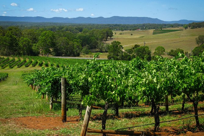 Private Luxury Tour: Tastes of the Hunter Valley - Pokolbin’s boutique tastings: premium pours with vineyard talk