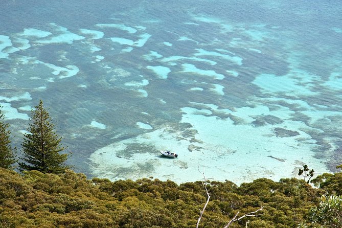 Private Port Stephens Day Trip from Sydney incl Dolphin Cruise - Stockton Sand Dunes: sandboarding fun, optional 4WD on the side