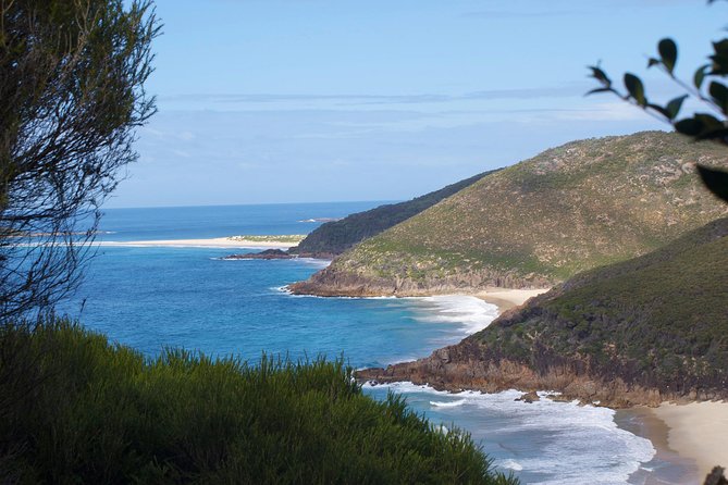 Private Port Stephens Day Trip from Sydney incl Dolphin Cruise - Price and value: is $559.45 per person fair?