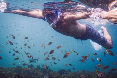 Private Snorkeling Tour In Sydney's Marine Reserve - Before you get in: gear setup that keeps nerves down