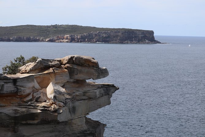 Private Sydney City and Bondi Beach Half Day Tour - Mrs Macquarie’s Chair: a free viewpoint with a real backstory