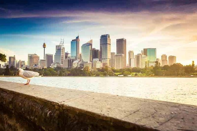 Private Sydney City and Bondi Beach Half Day Tour - The Gap and Federation Cliff Walk option: ocean views without the full hike