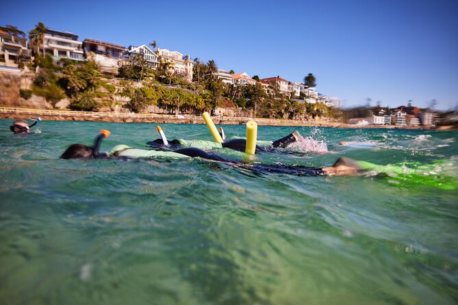 Private Sydney Snorkeling Experience: Explore Cabbage Tree Bay - Cabbage Tree Bay Aquatic Reserve: Why This Spot Is Special