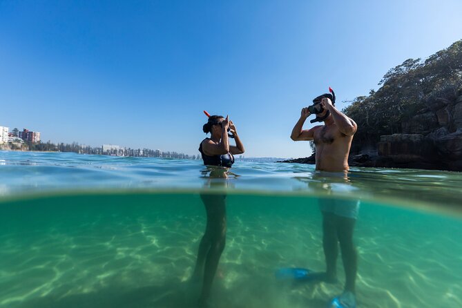 Private Sydney Snorkeling Experience: Explore Cabbage Tree Bay - Photos, Binoculars, and Other “Small” Inclusions That Add Up