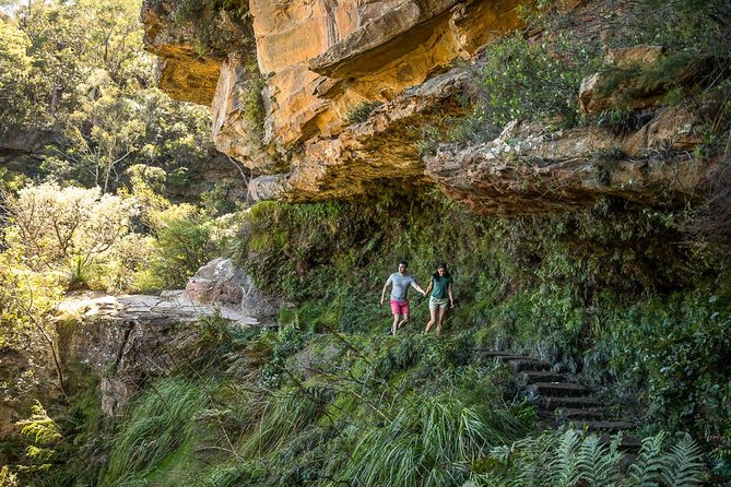 Private Tour: Blue Mountains Hiking & Nature - Sydney to the Blue Mountains: door-to-door comfort that buys you time