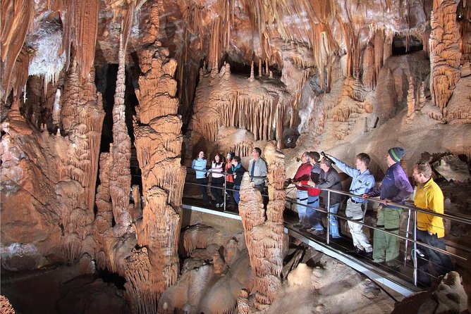 Private Tour: Jenolan Caves & Blue Mountains in a day - Key points before you go