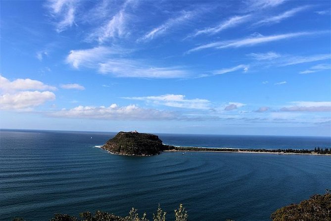 Private tour of Ku-Ring-Gai National Park and Northern Beaches - A private loop through Sydney’s north that actually feels like a day out