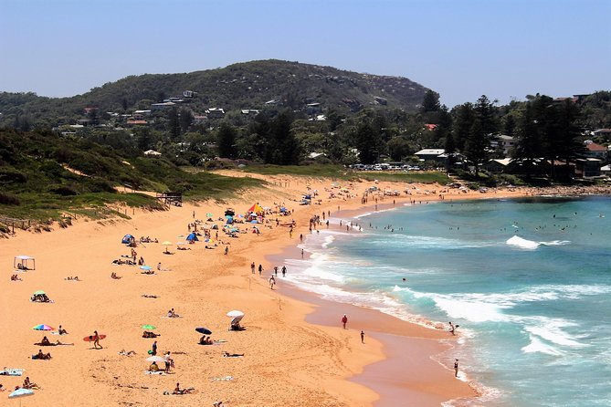 Private tour of Ku-Ring-Gai National Park and Northern Beaches - Palm Beach and Barrenjoey Lighthouse: the walk you’ll be happy you did