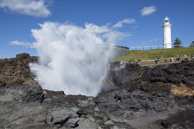Private Tour: Sydney South Coast & Highlands - The route: how a South Coast day stays worth it