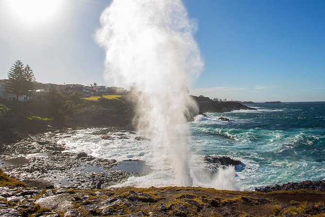 Private Tour: Sydney South Coast & Highlands - Fitzroy Falls: the big Southern Highlands payoff
