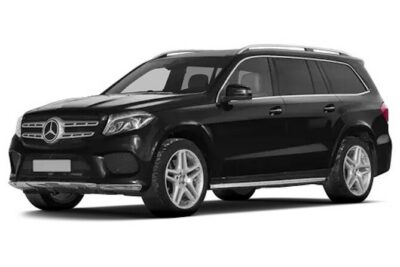 Private Transfer FROM Sydney Airport to Sydney CBD for 1 to 2 pax - Pickup After Customs: How You Find the Driver
