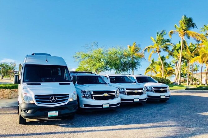Private Transfer from Sydney Cruise Port to Sydney Airport (SYD) - What this transfer is, in real life