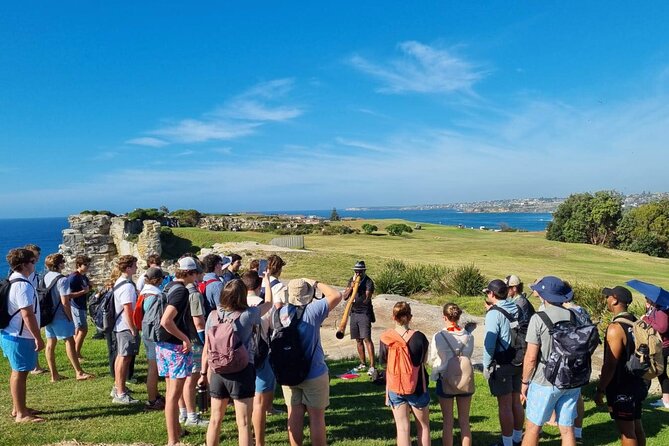 Private Walangari's Aboriginal Walking Tour in Bondi Beach - Rock carvings you can actually understand