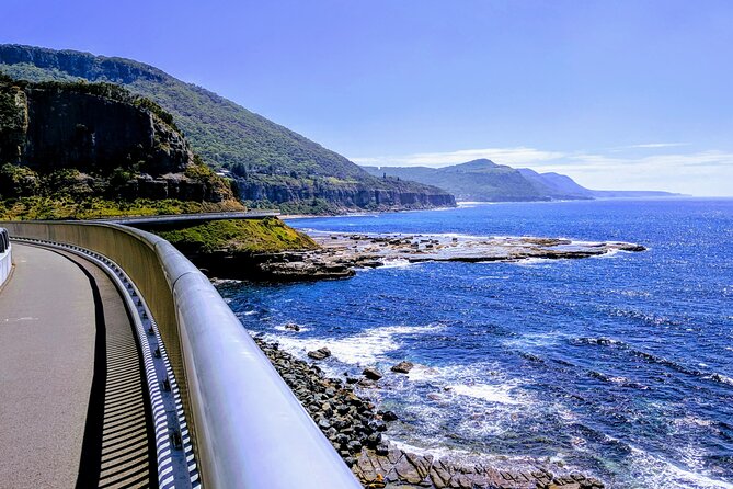 Private Wildlife Waterfalls and Wine Day Tour from Sydney - Bald Hill Lookout: Hang Glider Views Over Illawarra and the Sea Cliffs