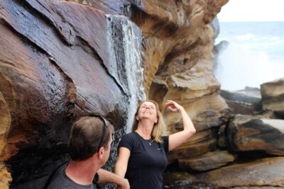 Royal National Park Private Tour - Morning logistics that matter: hotel pickup and smooth timing
