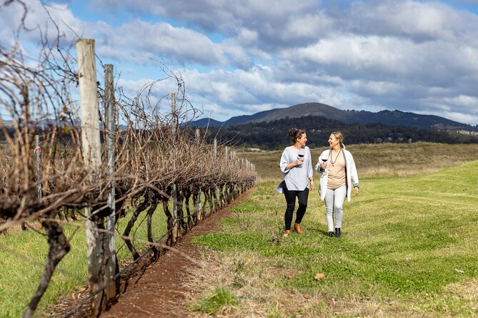 Scenic Hunter Valley Tour with Wine and Cheese Tastings - Hunter Valley by the Glass: What You’re Actually There to Taste