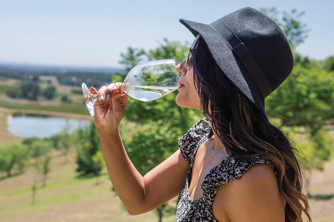 Scenic Hunter Valley Tour with Wine and Cheese Tastings - How the Winery Timing Works (and Why It Can Feel Different for Everyone)