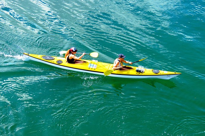 Self-Guided Sydney Middle Harbour Kayak 3 Hour Tour by Double Kayak - Key highlights worth your attention