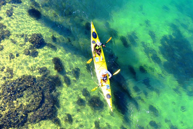 Self-Guided Sydney Middle Harbour Kayak 3 Hour Tour by Double Kayak - The self-guided format: what you’re really responsible for