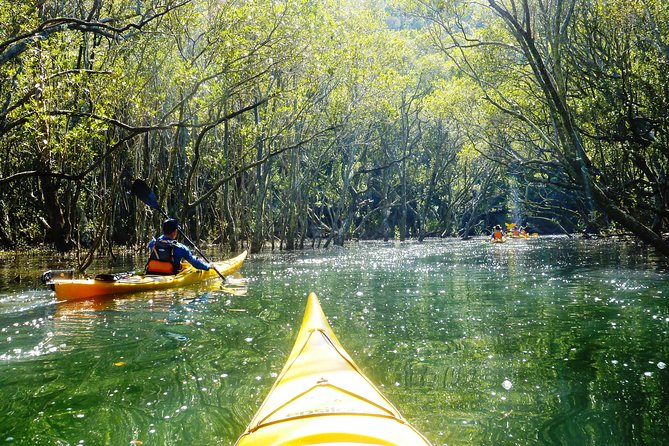 Self-Guided Sydney Middle Harbour Kayak 3 Hour Tour by Single Kayak - Where you start at 81 Parriwi Rd, Mosman
