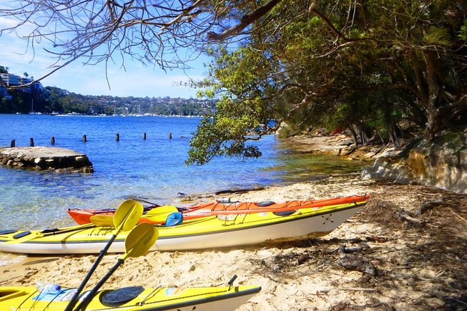 Self-Guided Sydney Middle Harbour Kayak 3 Hour Tour by Single Kayak - Price and value: what $60.97 buys you
