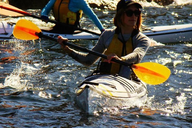 Self-Guided Sydney Middle Harbour Kayak 3 Hour Tour by Single Kayak - Your map and advice: how self-guided actually works
