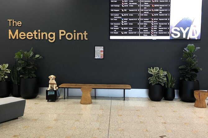 Shuttle Transfer from Sydney Airport to Cruise Ship Terminal at Circular Quay - Flight delays and driver communication: the difference between fine and stressful