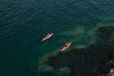 Single Kayak Hire - 4 Hours - Paddling basics with patient hosts: what you’re taught and why it helps