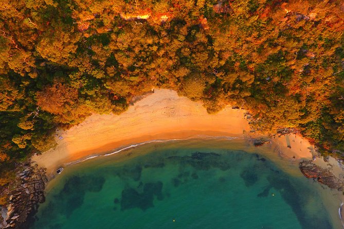 Single Kayak Hire - 4 Hours - Should you book Manly Kayak Centre Single Kayak Hire?