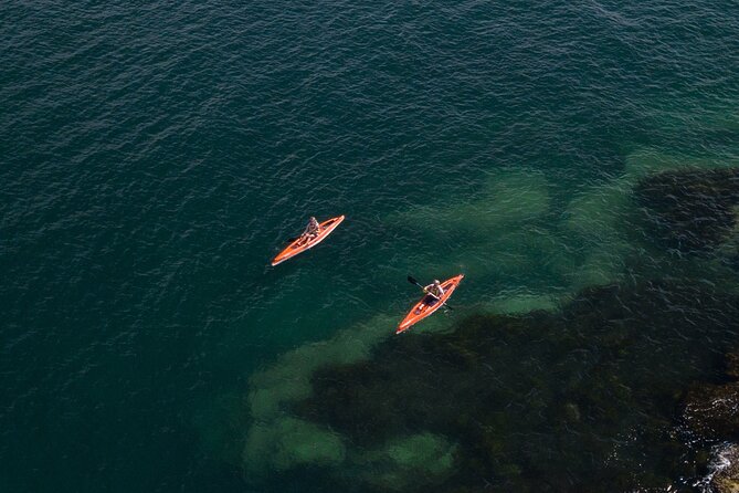 Single Kayak Hire - 4 Hours - Paddling basics with patient hosts: what you’re taught and why it helps