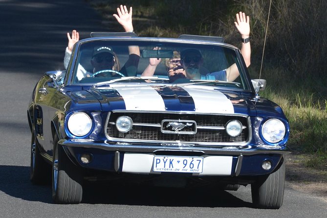 Six-Bridges-of-Sydney-Vintage-Car-Ride-Experience - How the 1-Hour Timing Helps (and what it can’t do)