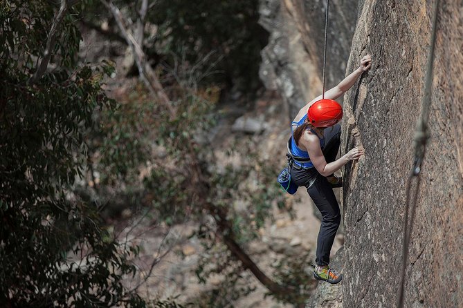 Small-Group Full-Day Rock Climbing Adventure from Katoomba - Belaying, Holds, and the Small Tech That Changes Everything