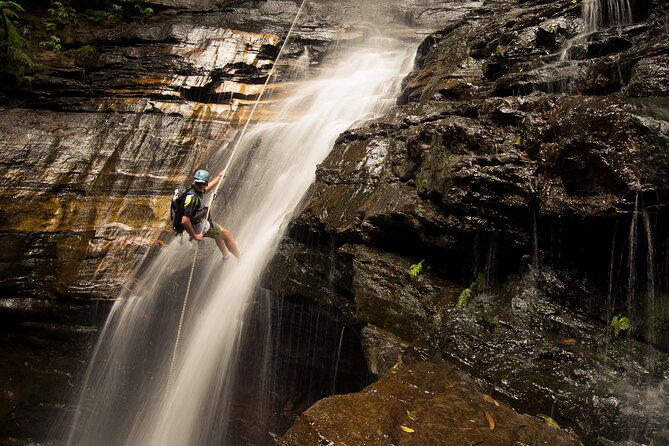 Small-Group Full-Day Rock Climbing Adventure from Katoomba - Price and Value: Is $179.31 Worth It?