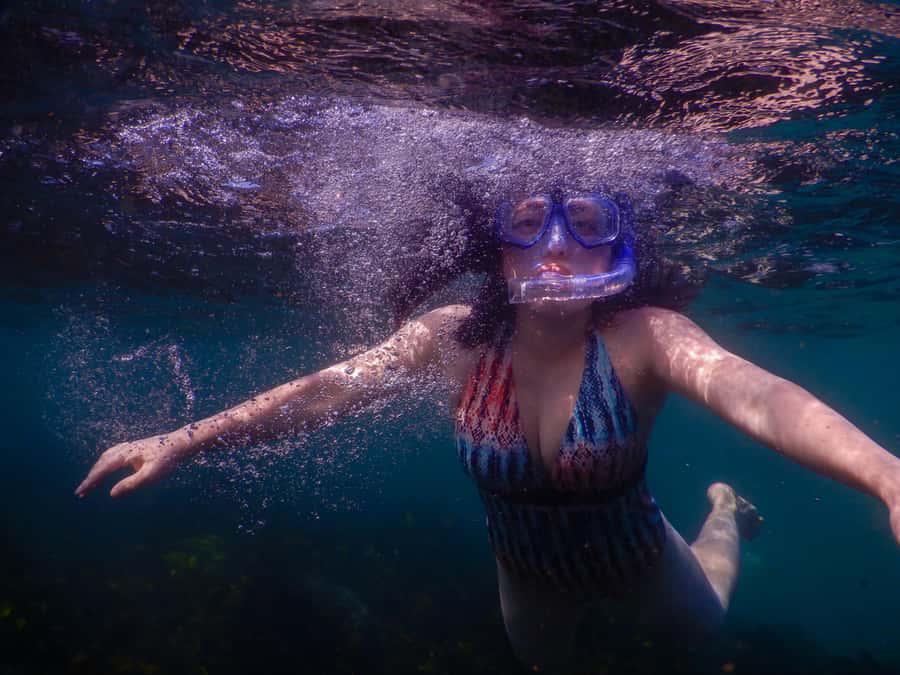 Snorkel Sydney’s Stunning Marine Reserve on a Private Tour - Key things to know before you go