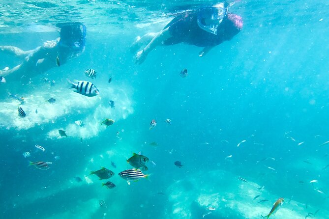 Snorkeling Adventure for Kids with Private Guide In Sydney - Safety and the Private-Guide Difference