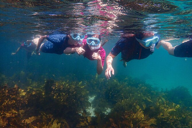 Snorkeling Adventure for Kids with Private Guide In Sydney - Logistics That Matter (And What Doesn’t)