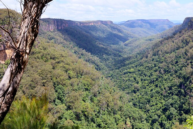 Southern Highlands Private Tour with Wine, Waterfall and Garden - Berrima: Georgian sandstone, one street, and worthwhile free time