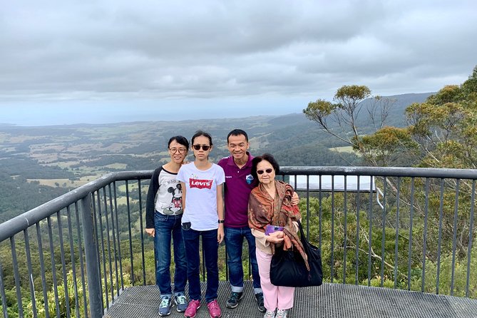 Southern Highlands & South Coast Private Tour From Sydney - Fitzroy Falls and Mittagong wine tasting: the bushy finale
