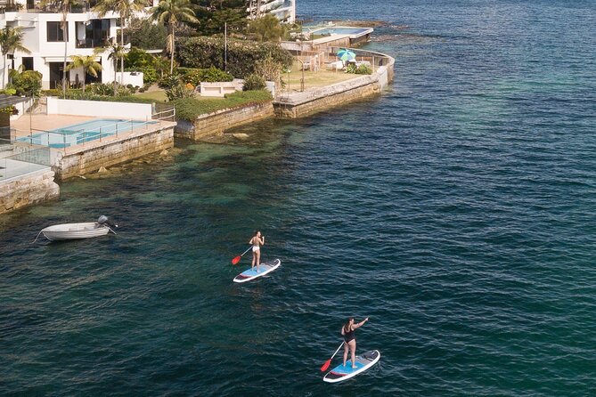 Stand Up Paddle Board Hire - 2 Hours - Manly Kayak Centre to North Harbour: where the good part starts
