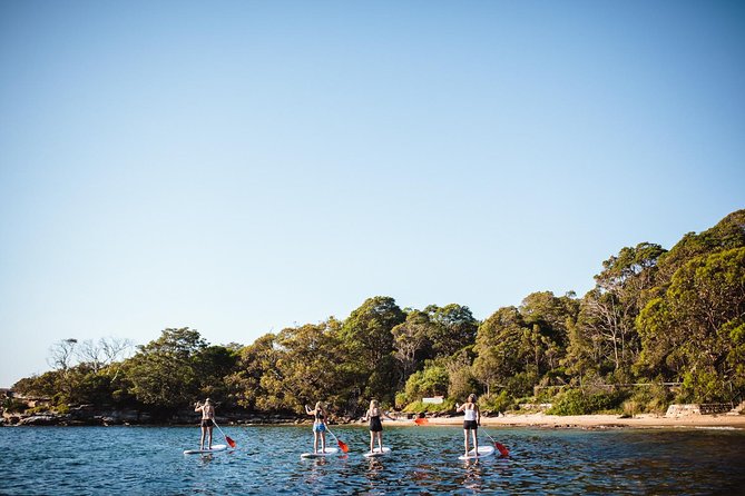 Stand Up Paddle Board Hire - 2 Hours - Weather, wind, and staying comfortable when conditions change