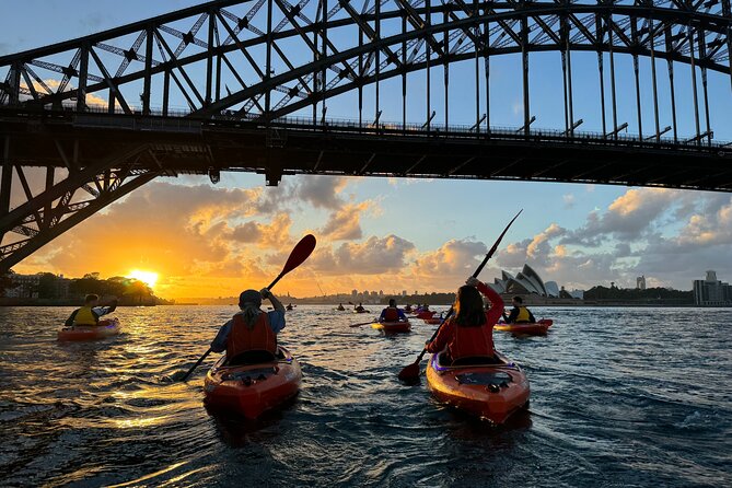 Sunrise Paddle Session on Syndey Harbour (single kayak) - Key highlights you’ll feel fast